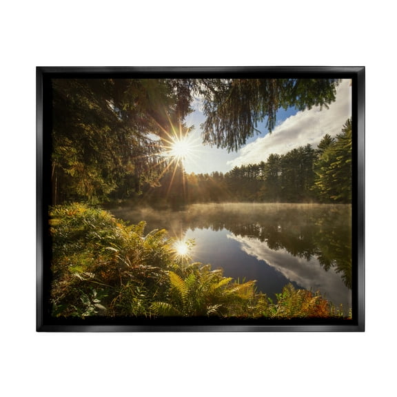 Stupell Industries Lake Nature Landscape Nature Photography Black Floater Framed Art Print Wall Art, 21 x 17