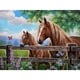 thumbnail image 1 of 5D DIY Taladro Diamante Pintura Caballo Kit Del Arte, 1 of 9