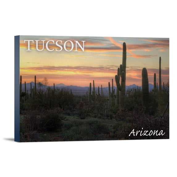 Tucson, Arizona, Cactus at Twilight, (12x18 Wrapped Canvas, Wall Decor, Artwork)