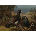 thumbnail image 2 of Ferdinand von Wright 14x11 Black Ornate Wood Framed Double Matted Museum Art Print Titled: Capercaillie Cocks (1876), 2 of 5