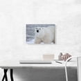 thumbnail image 2 of ARTCANVAS Polar Bear Home decor Canvas Art Print - Size: 18" x 12" (0.75" Deep), 2 of 9