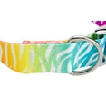 thumbnail image 5 of Country Brook Petz® 1 1/2 inch Premium Fashion Zebra Dog Collar, Large, 5 of 5