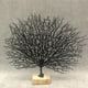 thumbnail image 3 of Simulación de rama de coral, planta, árbol marino, rama seca, decoraciones artificiales Negro, 3 of 8