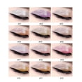 thumbnail image 4 of figatia Professional Diamond Sequin Liquid Eyeshadow long time lasting Eye Makeup 08, 4 of 9