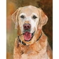 thumbnail image 3 of Fagan, Edie 12x14 Black Modern Framed Museum Art Print Titled - Rex Golden Retriever, 3 of 5