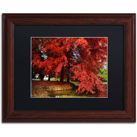 Trademark Fine Art "October" Canvas Art by Philippe Sainte-Laudy Black Matte, Wood Frame