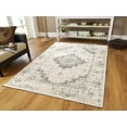 thumbnail image 4 of Traditional Distressed Area Rug 8x10 Large Rugs for Living Room 5x8 Gray Ivory, 4 of 6