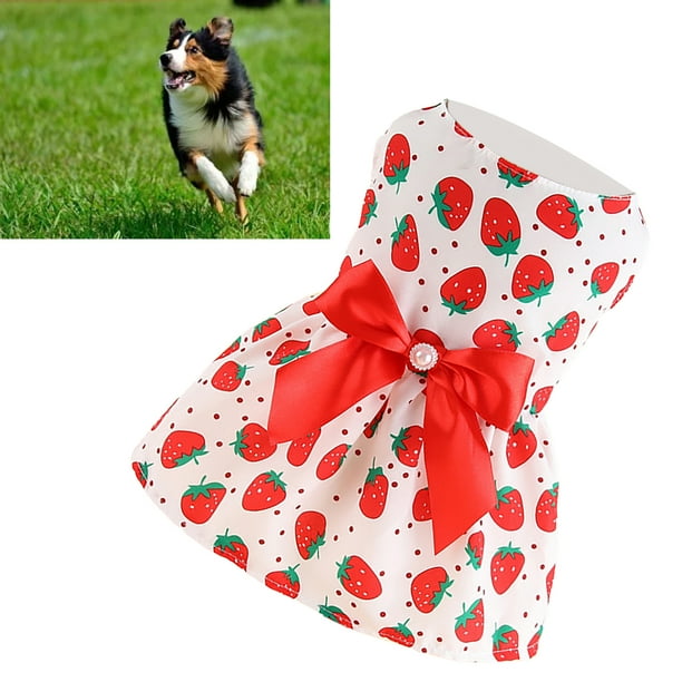 Vestidos Para Perros, Primavera Verano, Cachorro, Gatito, Lazo