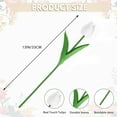 thumbnail image 2 of HYG White Tulips Artificial Flowers 20 Pcs 13'' Real Touch Tulips Flowers Fake Tulips Flowers Realistic Plastic Flowers Bouquet for Wedding Bridal Party Bouquet Decoration, 2 of 8