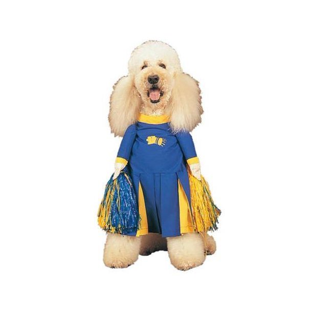 Cheerleader Dog Costume