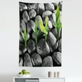 thumbnail image 1 of Plant Tapestry, Basalt Stones with Bamboo Leaves Sticking Water Droplets Harmony of Nature, Fabric Wall Hanging Decor for Bedroom Living Room Dorm, 5 Sizes, Dark Taupe Lime Green, by Ambesonne, 1 of 1