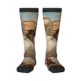 thumbnail image 1 of Balery Hiking Duck Calcetines novedosos Calcetines deportivos Calcetines hasta la rodilla Calcetines de algodón Calcetines originales y geniales, 1 of 6