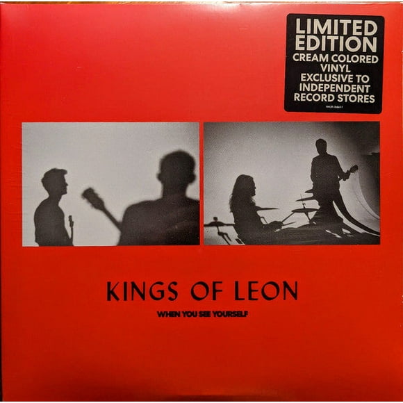 KINGS OF LEON WHEN YOU SEE YOURSELF