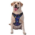 thumbnail image 1 of Kdxio Mathematics And Chemistry Print No Pull Dog Harness Adjustable Reflective Oxford Easy Control Medium Large Dog Harness for Training and Everyday-Medium, 1 of 6