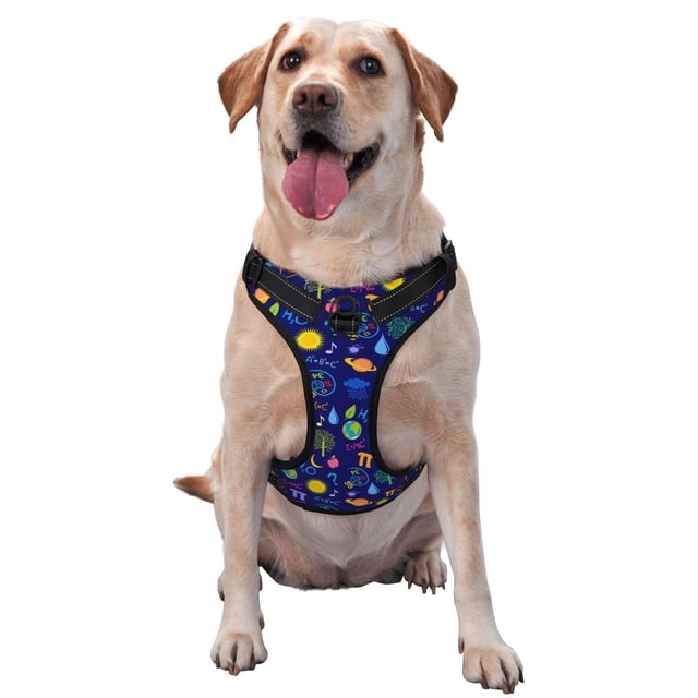Kdxio Mathematics And Chemistry Print No Pull Dog Harness Adjustable Reflective Oxford Easy Control Medium Large Dog Harness for Training and Everyday-Medium