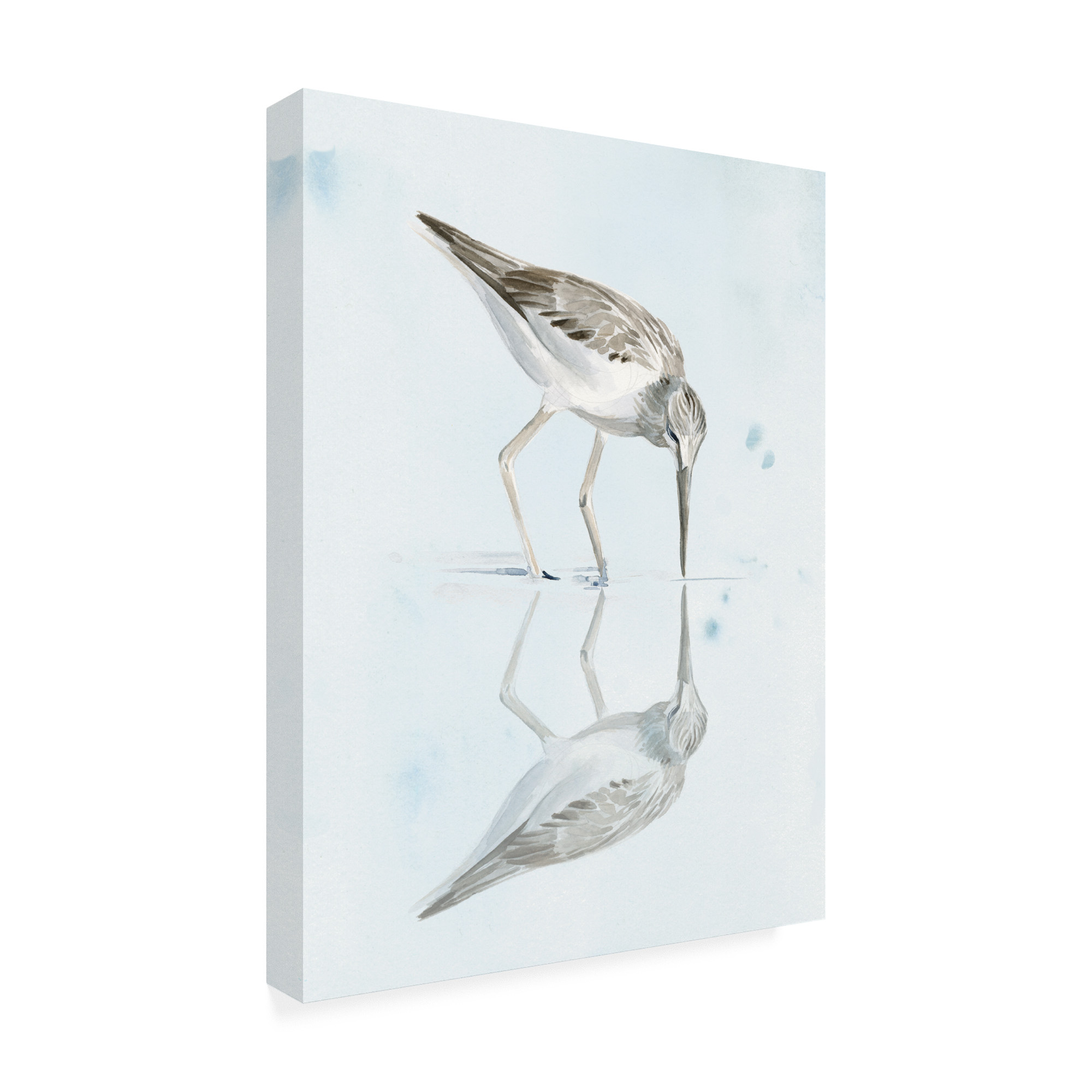Trademark Fine Art 'Sandpiper Reflections I' Canvas Art by Jennifer Paxton Parker