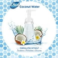 thumbnail image 4 of Dial Antibacterial Foaming Hand Wash - Coconut Water - 7.5 oz (Pack of 2), 4 of 5