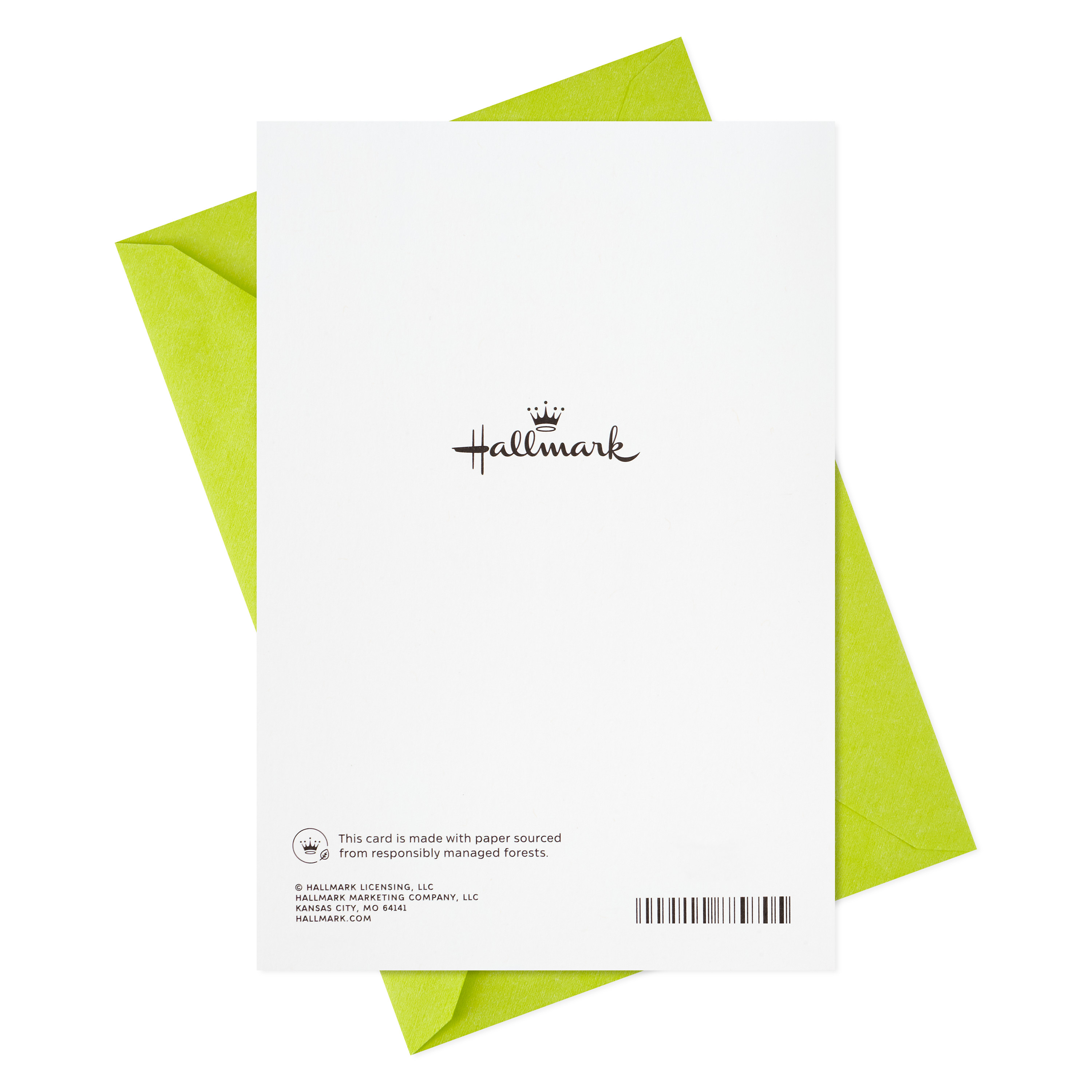 Hallmark Pack of Thank You Cards, 4 Cards with Envelopes (The Best)