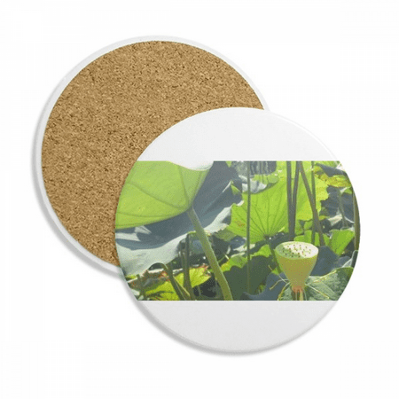 

Summer Lotus Pond Root Art Deco Fashion Coaster Cup Mug Tabletop Protection Absorbent Stone