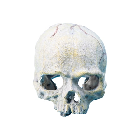 Snake Hideouts Reptiles Aquarium Skull Decors Resin Skull Head Terrariums Accessories for Bearded Dragon and Snake