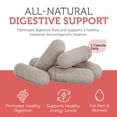 thumbnail image 4 of Zahler ParaGuard Capsules, 30 Count, Gut Health Supplement & Digestive Support with Wormwood, Garlic, Pumpkin Seed, Clove, 4 of 7