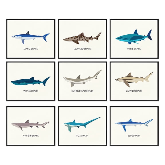 97 Decor Shark 8x10 Vintage Sea Life Poster Set, 9 Pieces