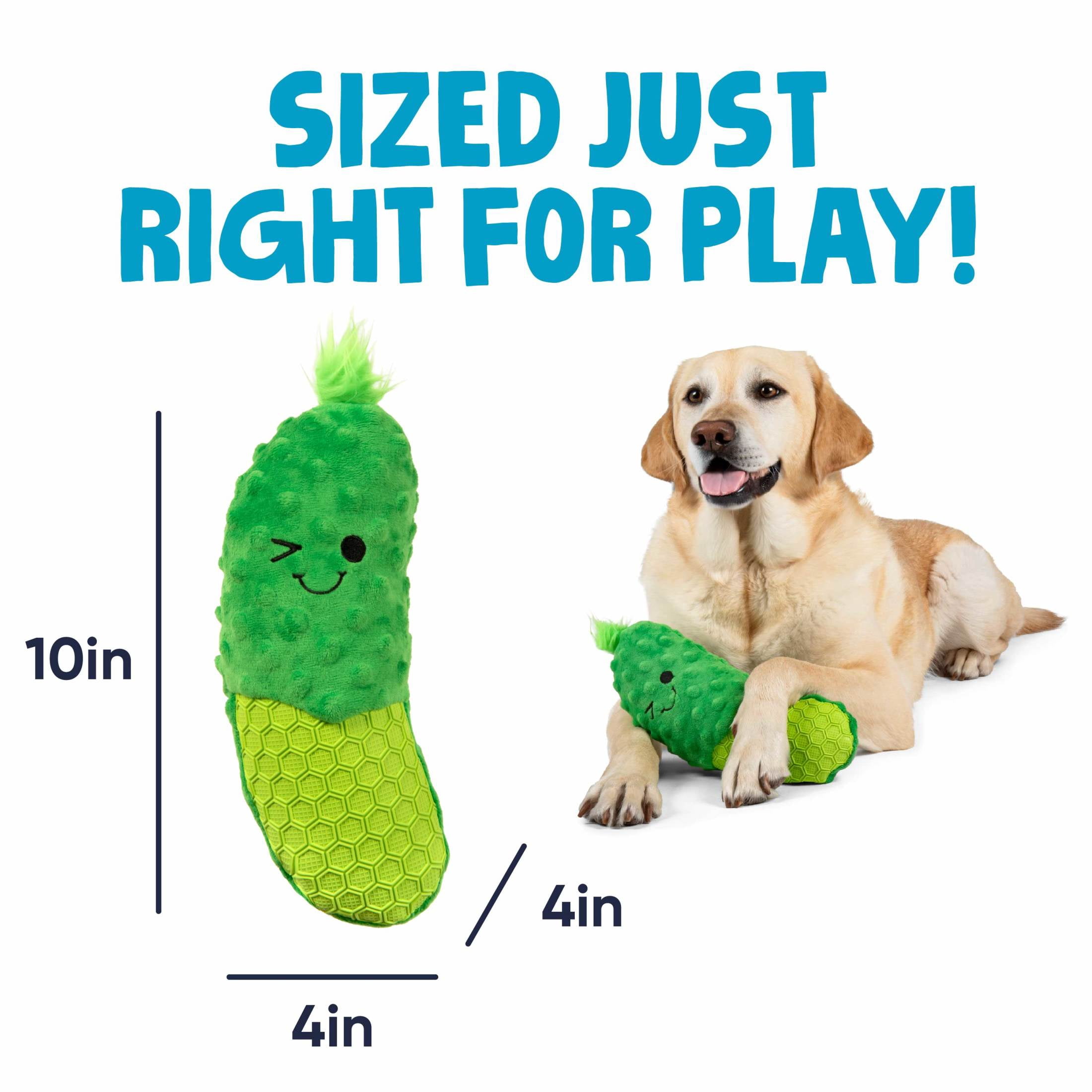 goDog Tough N Texture Dillbert Pickle Plush & Textured Silicone Squeaky Dog Toy with Chew Guard Technology, Durable Fabric & Squeaker for Active Play, Green, Medium