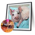 thumbnail image 2 of Wdftyju 5D DIY Pig Diamond Picture Resin Art Full Round Rhinestone Pintura Artesanía Wdftyju 6rr3ja3ts1va2kd8, 2 of 9