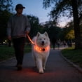 thumbnail image 5 of FeiFu LED Light-Up Dog Leash USB Rechargeable Luminous Traction Rope Adjustable Reflective Pull Strap Glow in the Dark Safety Leash for Night Walking, 5 of 6