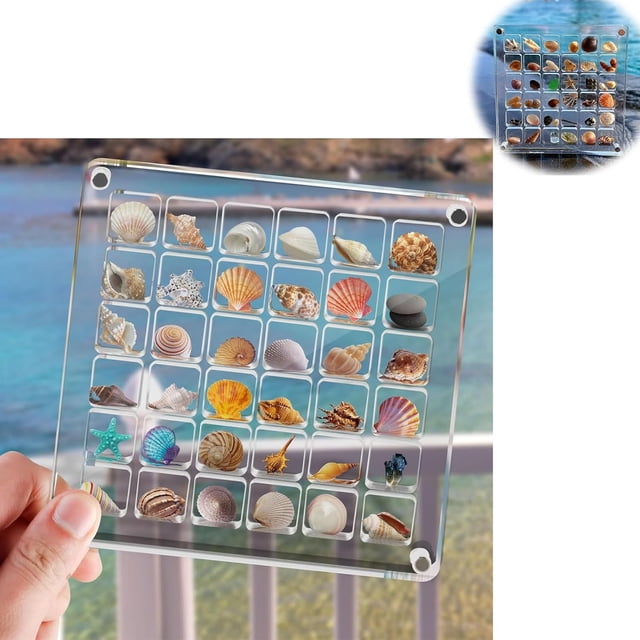 Priaora Generic Acrylic Magnetic Seashell Display Box, Clear Seashell Storage Box Display Case, Small Craft Organizers Container for Small Craft Organizer Case Bead, Gemstone, Nail, Jewelry (K180-1)