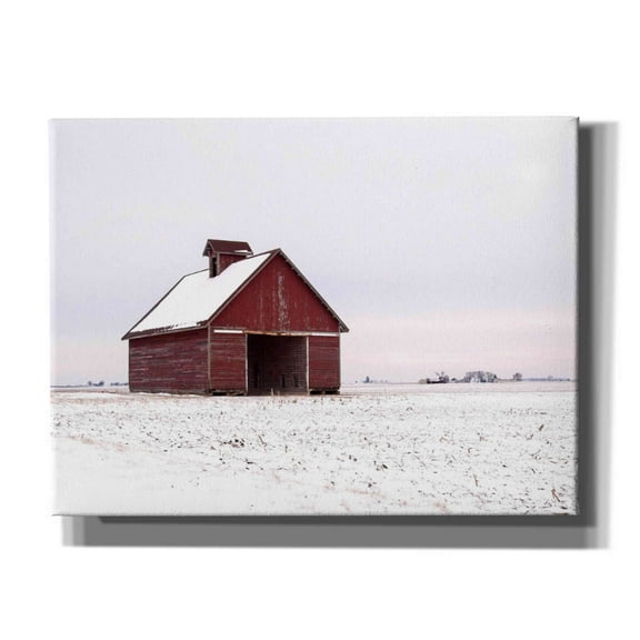 Epic Graffiti 'Central Illinois Barn' by David Hammond, Giclee Canvas Wall Art, 16"x12"