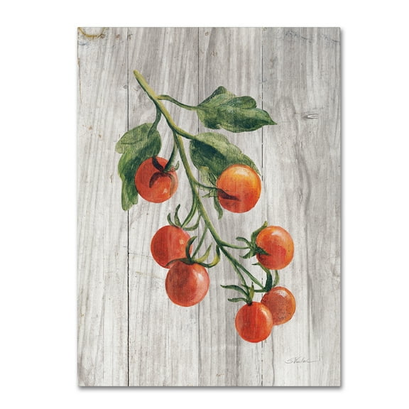 Trademark Fine Art 'Market Vegetables IV' Canvas Art by Silvia Vassileva