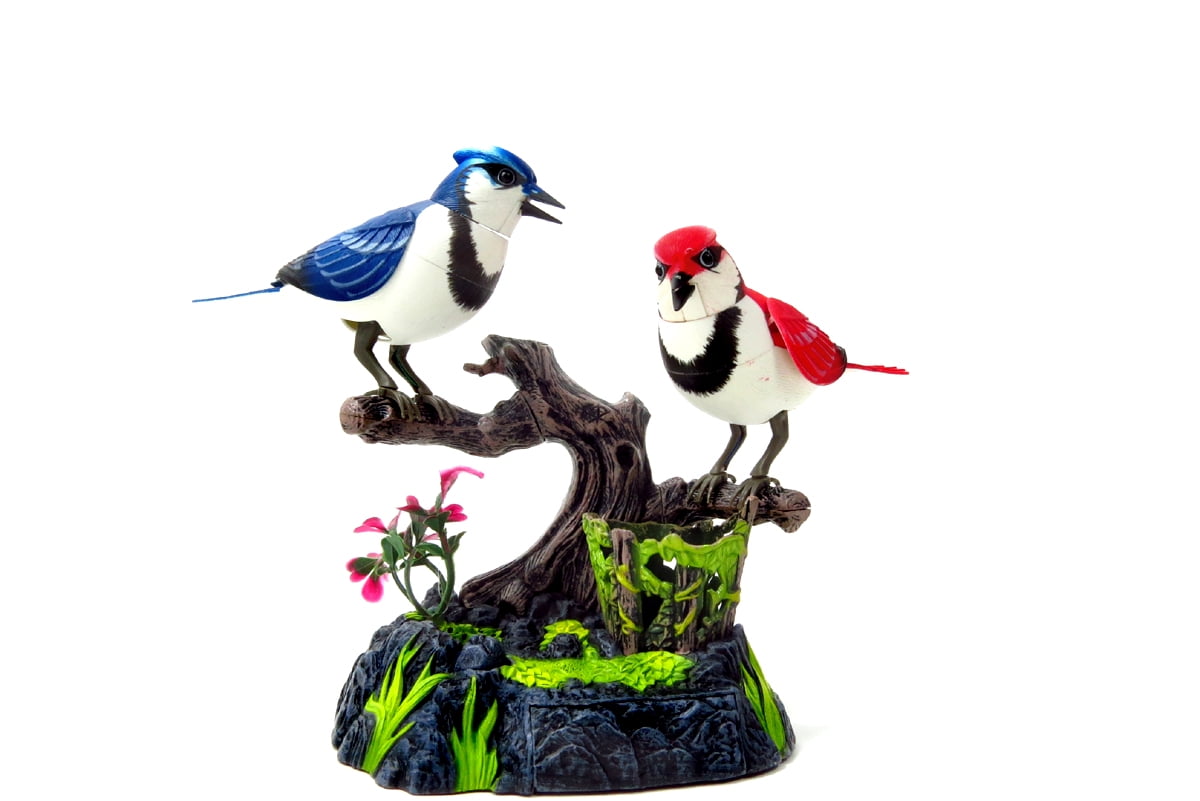 Singing Chirping Birds Realistic Sounds And Movements Blue Jays Birds Bright Singing Will Relax Your Body And Mind Walmart Com Walmart Com