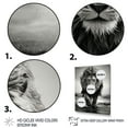 thumbnail image 3 of Designart "Monochrome Lion Dash in Savannah" Animals Canvas Wall Art, 3 of 5