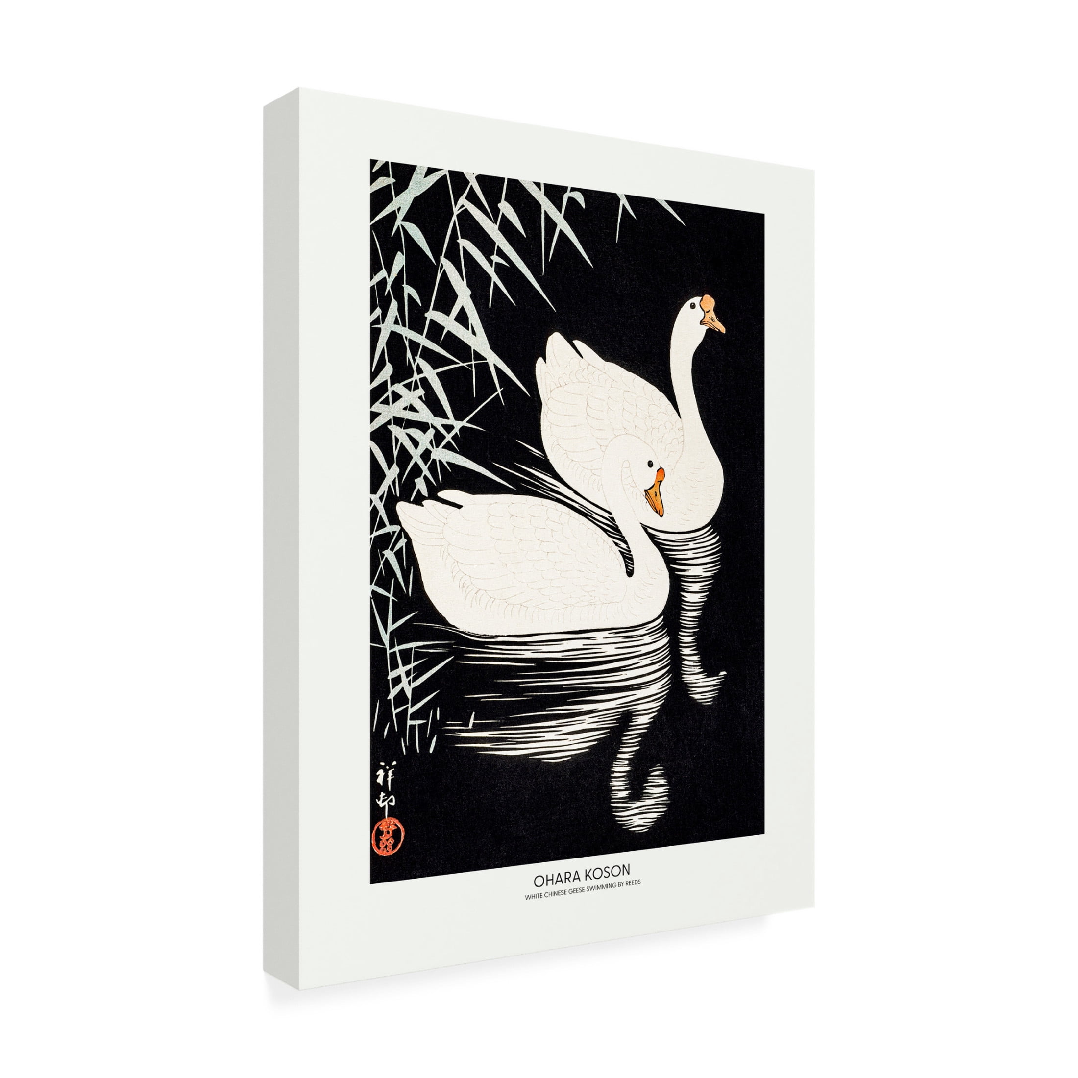 Trademark Fine Art Pictufy  White Chinese Geese Swimming by Reeds Canvas Wall Art