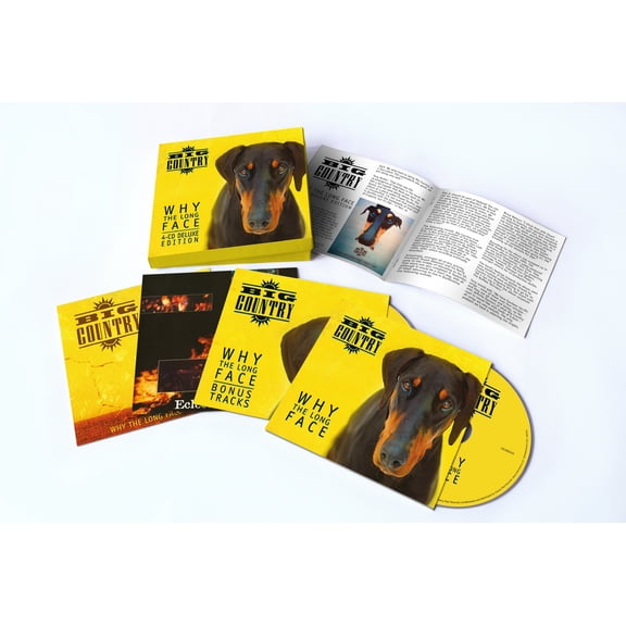 Big Country - Why The Long Face - Music & Performance - CD