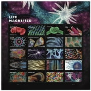 Life Magnified USPS Forever Postage Stamp 1 Sheet of 20 US First Class Birthday Announcement Life Earth Science Anniversary Wedding Celebrate (20 Stamps)