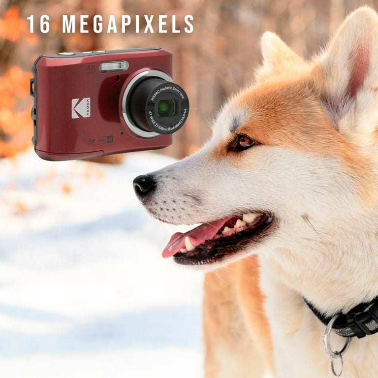 カメレオ フォト Kodak-PIXPRO-FZ45-Friendly-