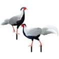 thumbnail image 1 of 2pcs Realistic Acrylic Pheasant Stakes for Lawn Garden Decoration Durable Outdoor Art for Farmhouse Rustic Style, 1 of 5