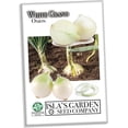 thumbnail image 2 of White Grano Onion Seeds (Allium cepa) – 500+ Heirloom Non-GMO Seeds by Isla’s Garden Seeds, Short Day Variety, Ideal for Planting, Perfect for Home Gardens, Great Gardening Gift, 2 of 7