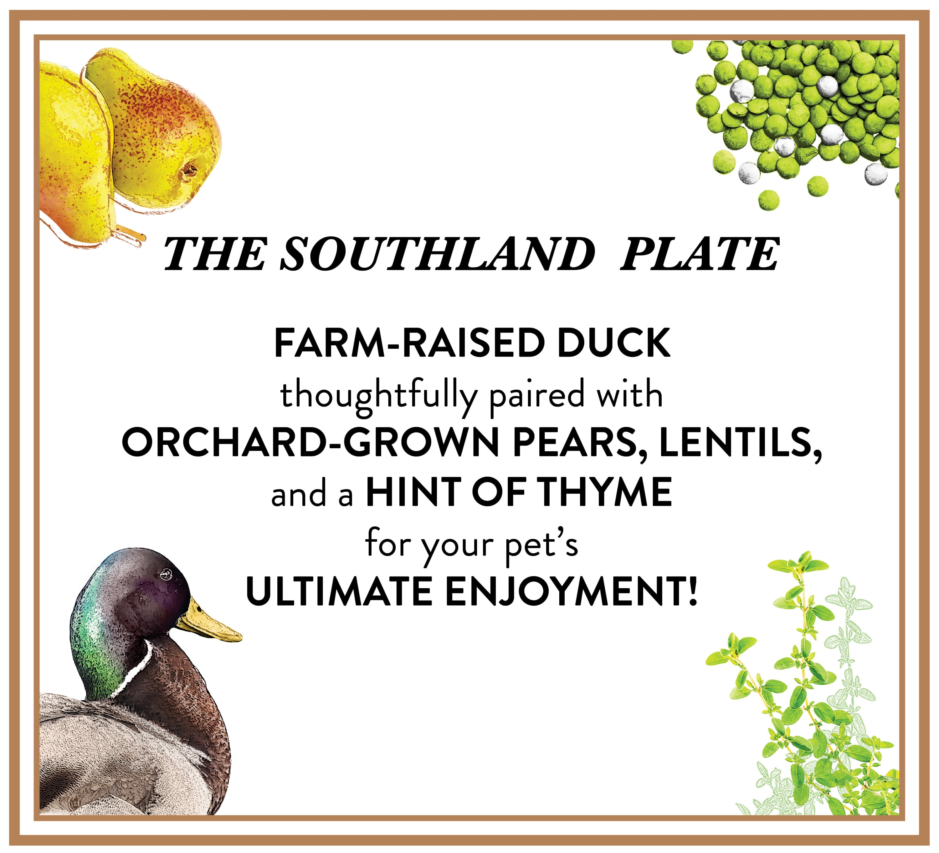 Nutro duck top and lentils