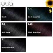 Garnier Olia Oil Powered Permanent Hair Color, 2.26 Black Amethyst