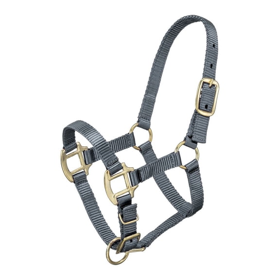 Premium Suckling Foal Nylon Halter