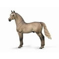 thumbnail image 2 of Morgan Stallion, 2 of 2
