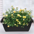 thumbnail image 2 of Caja de ventana de 4 piezas Plantador Plástico Plástico Cajas de flores de vegetales Cajas de flores rectangulares con platillos, 2 of 8