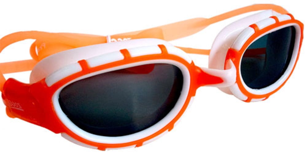 zoggs predator womens