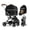 Black, variant on Pet Stroller Dog Stroller Upto 55lbs,Cat Stroller 2-in-1 Removable Carrier & One-Click Folding (Gray)