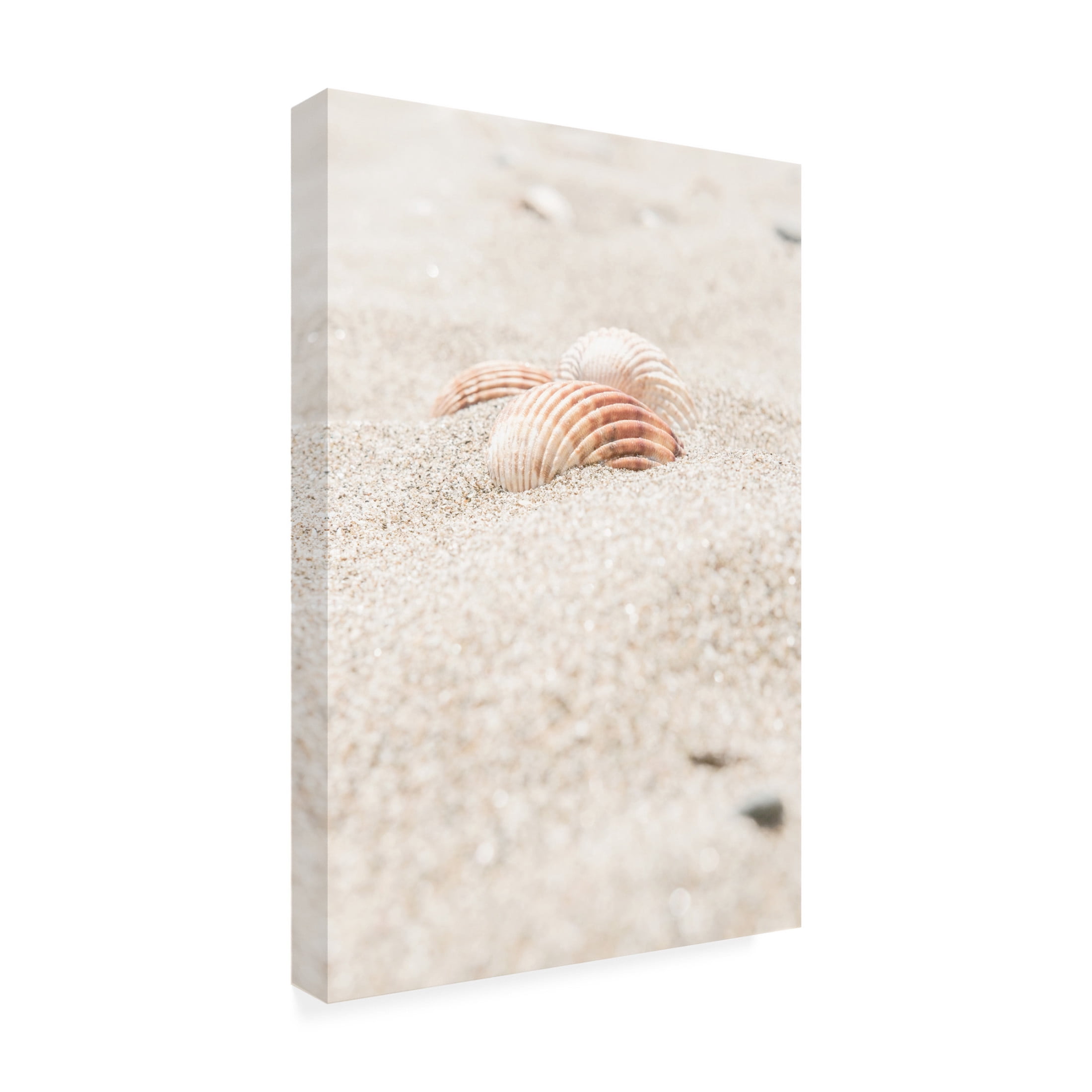 Trademark Fine Art Pictufy Studio III Beach 14 Canvas Wall Art