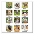 thumbnail image 3 of Puppies Monthly Desk Pad Calendar, Puppies Photography, 22 x 17, White Sheets, Clear Corners, 12-Month (Jan to Dec): 2026 | Bundle of 5, 3 of 7