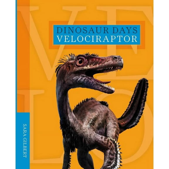 Dinosaur Days: Velociraptor (Paperback)